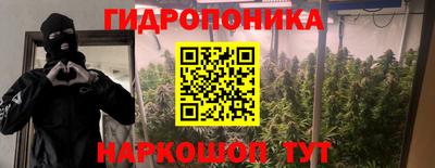 амф Краснодар