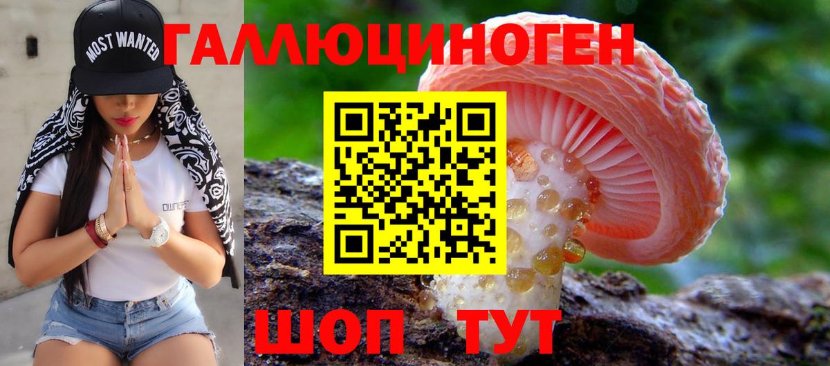 Псилоцибиновые грибы GOLDEN TEACHER Ессентуки